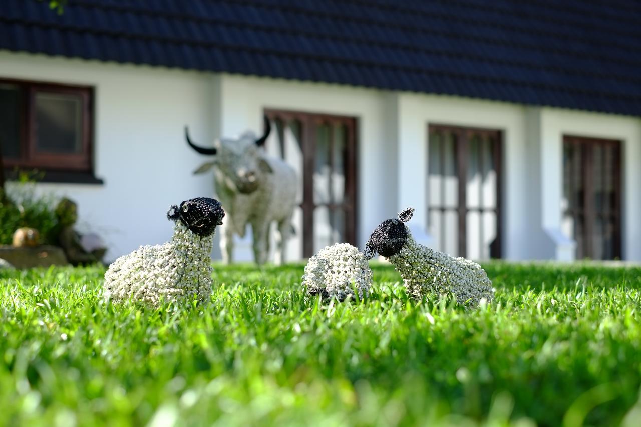 Kilmorna Manor Guest House Shoemanskloof Экстерьер фото